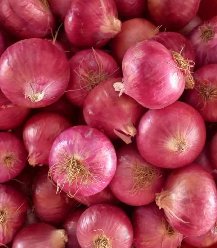 Red Onions Garwa from India